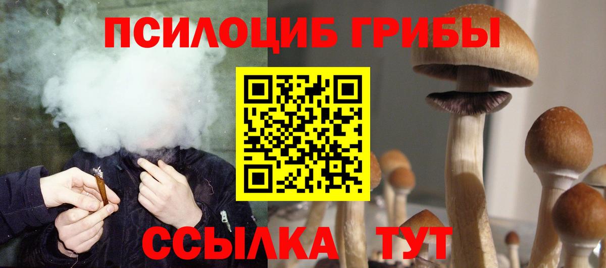 даркнет сайт  Галлюциногенные грибы MAGIC MUSHROOMS  Вход с VPN  Псилоцибиновые грибы MAGIC MUSHROOMS  Белгород 